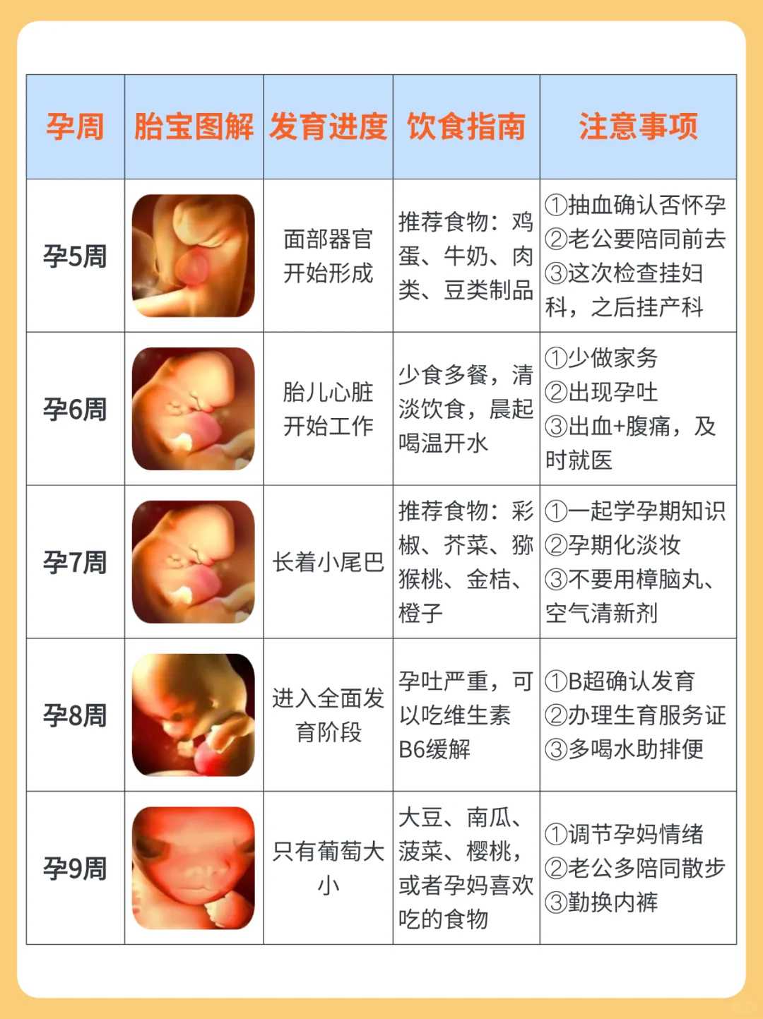 代生-试管婴儿为什么要打降调？