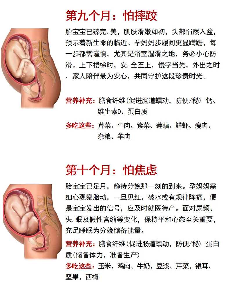 怀孕期间吃节瓜的秘诀与注意事项
