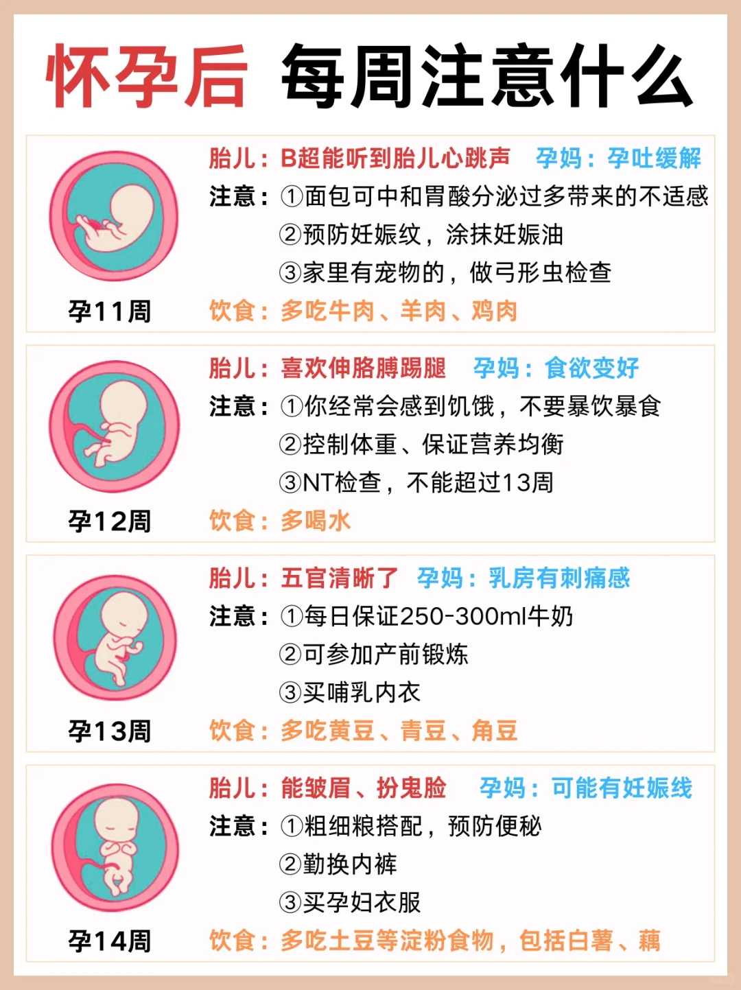 怀孕建档的最佳时间：几个月开始较好？