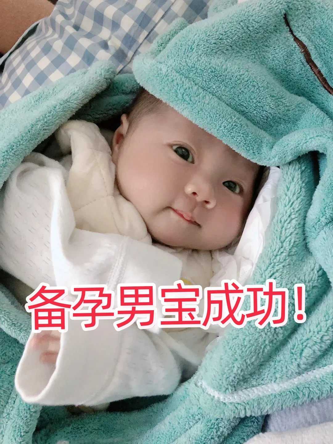 试管婴儿与人工受精:揭示两者间的奥秘与区别