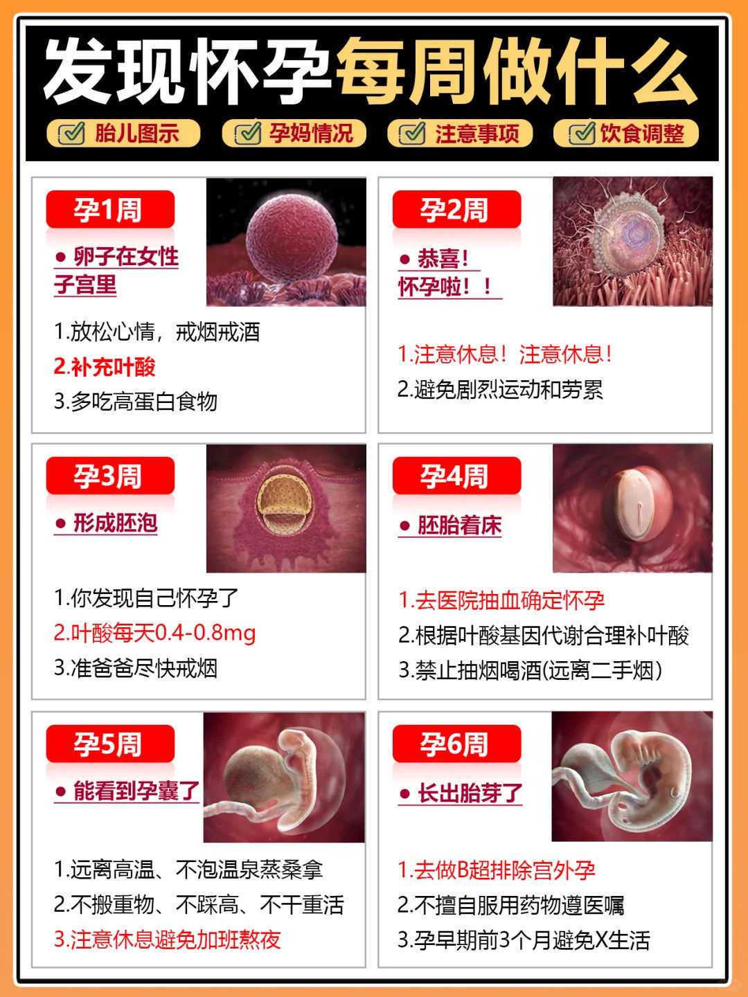 备孕App盘点:看看哪些应用让您轻松迈向幸福的新生儿!