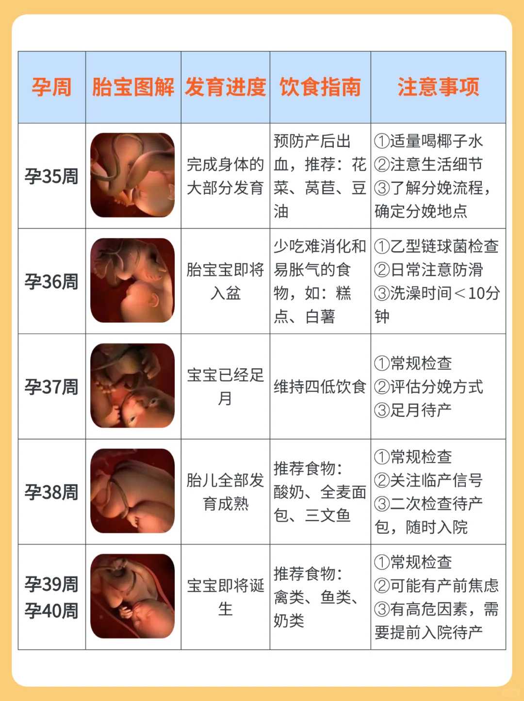 二代试管费用大概是多少,广西试管婴儿医院排名榜