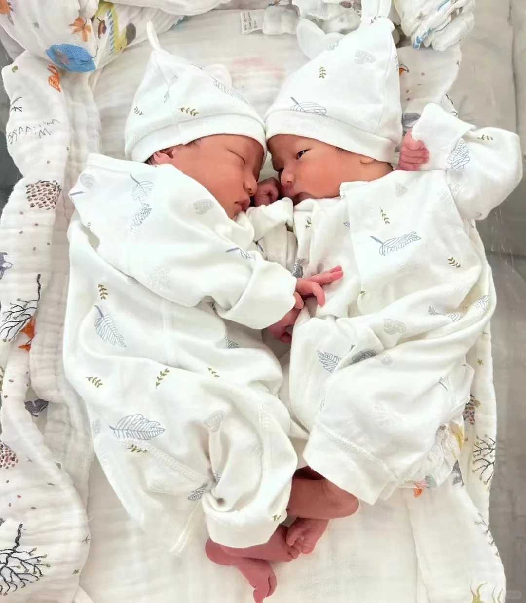 郑州军区总医院第三代供卵试管包生男孩价格大概要多少钱？