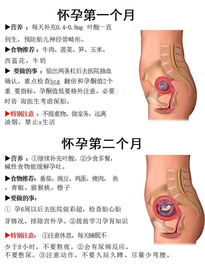 成都供卵试管费用多少钱?申请供卵需要排队的原因是什么?