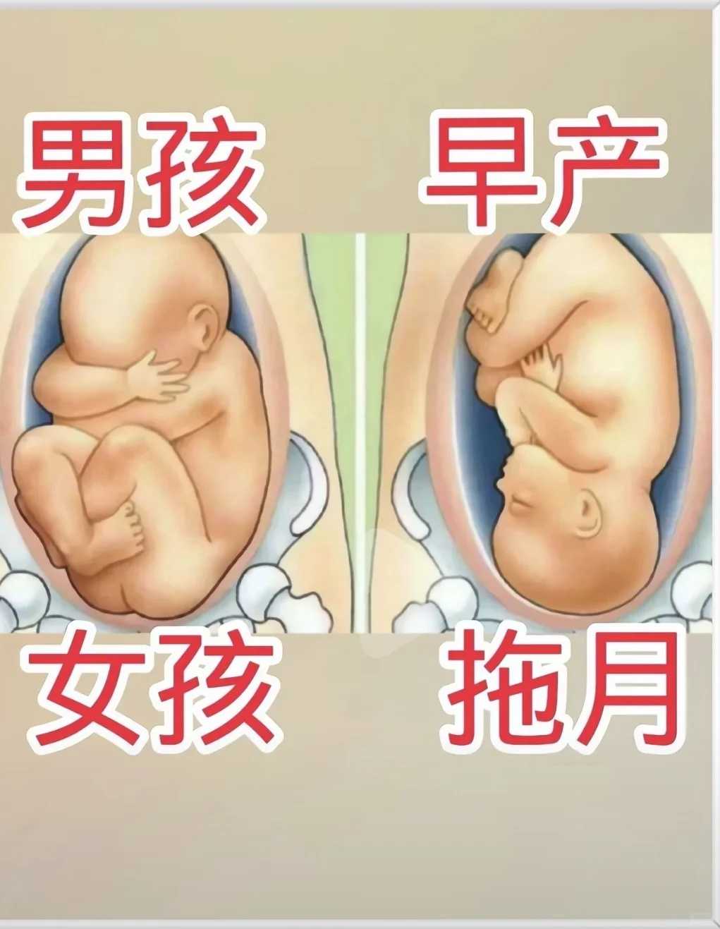 借卵的政策和条件_供卵有多少钱一次,化疗患者可以做供卵试管供卵试管吗?