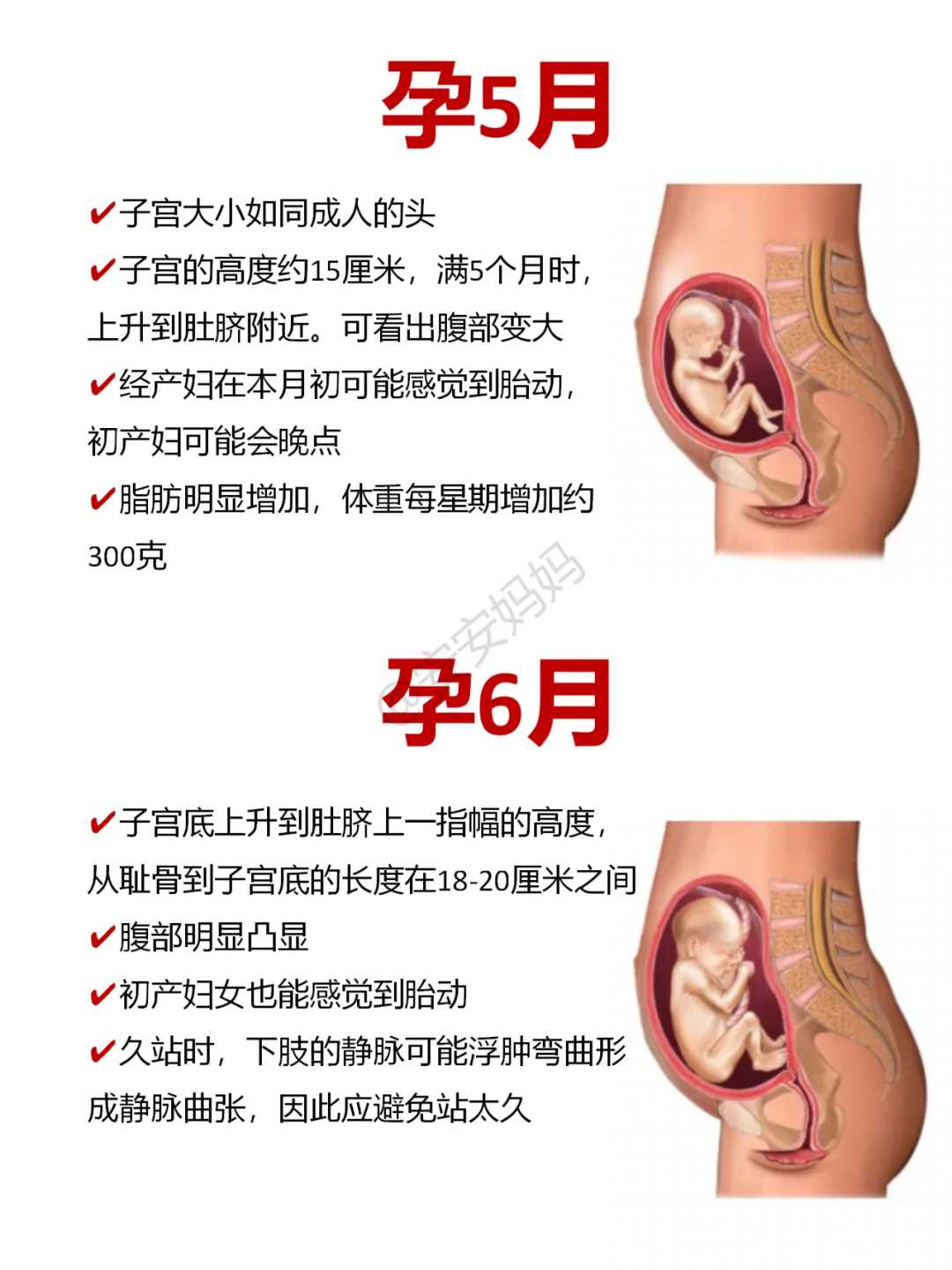 探索新生儿喂养的黄金时机