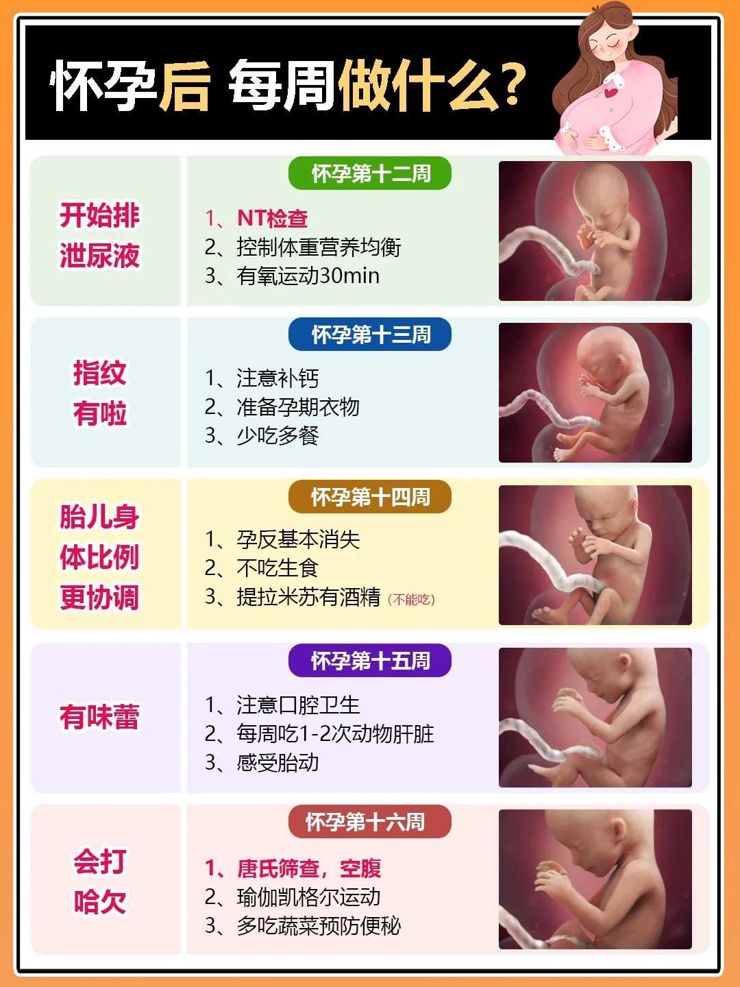 不完全纵隔子宫，纵隔子宫生了一儿一女