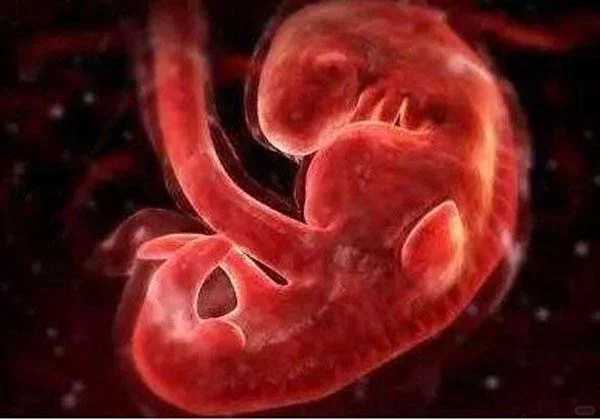 美国FSAC生殖中心和scrc医院哪个试管成功率更高?