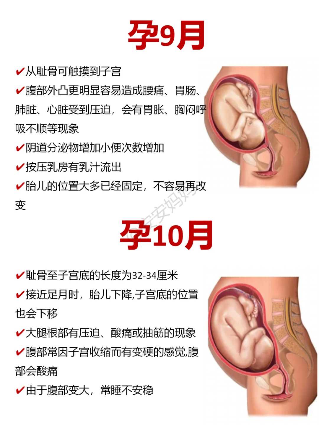 代怀孕初期不能吃什么（18种食物）