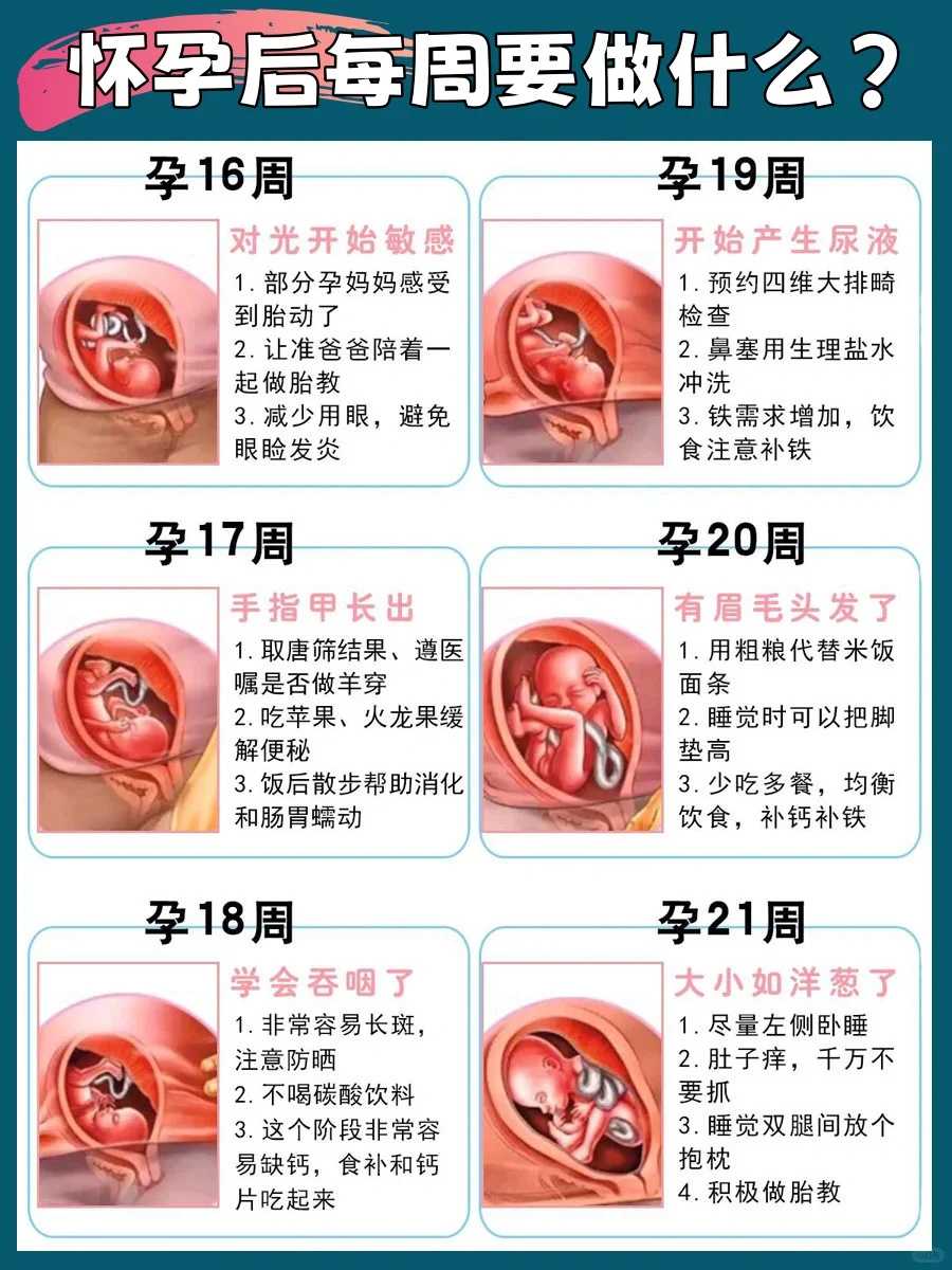 哺乳期怀孕的惊人征兆：你需要知道的一切
